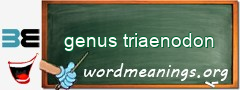WordMeaning blackboard for genus triaenodon